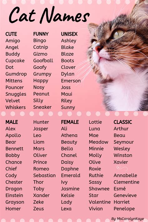 names that mean cat.